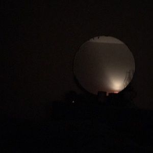 Meet your Posher, Bonnie